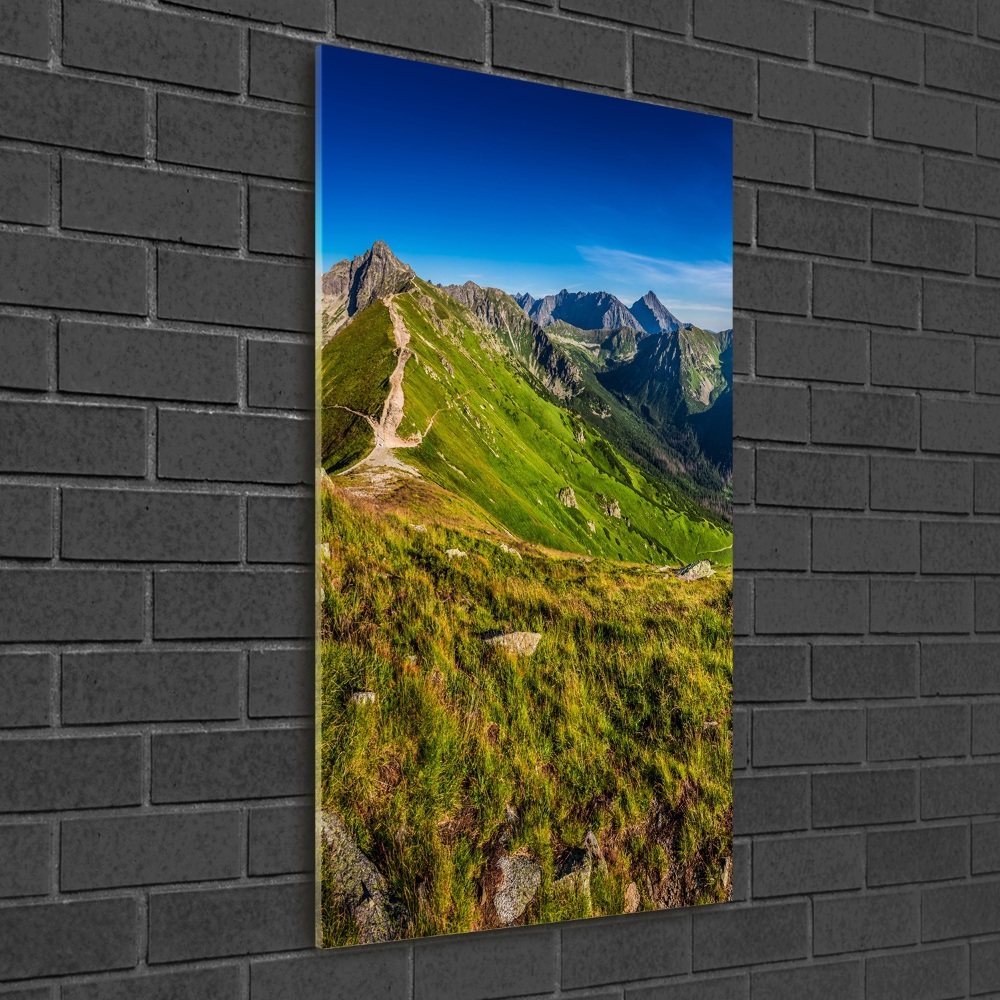 Moderní foto-obraz akryl na stěnu vertikální Tatry