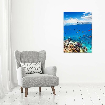 Foto obraz akrylový do obýváku vertikální Korálový útes