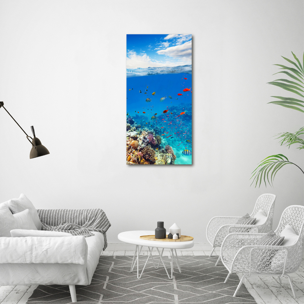 Foto obraz akrylový do obýváku vertikální Korálový útes