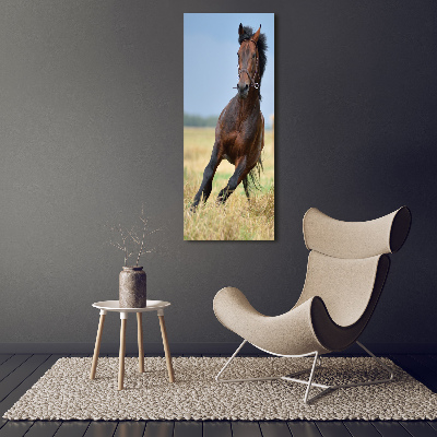 Moderní akrylový fotoobraz vertikální Kůň na poli