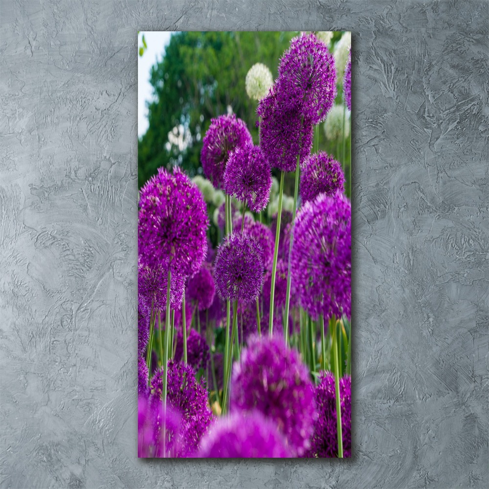 Foto obraz akryl do obýváku vertikální Květy česneku