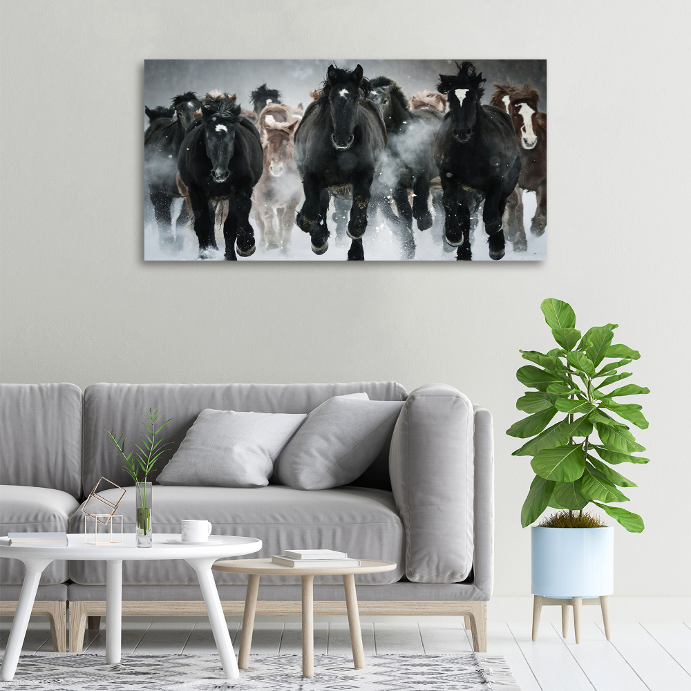 Moderní fotoobraz canvas na rámu Koně ve cvalu