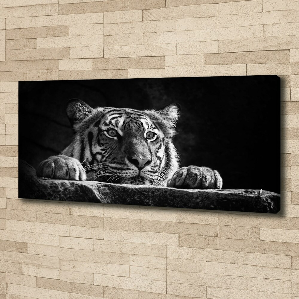 Foto obraz na plátně Tygr