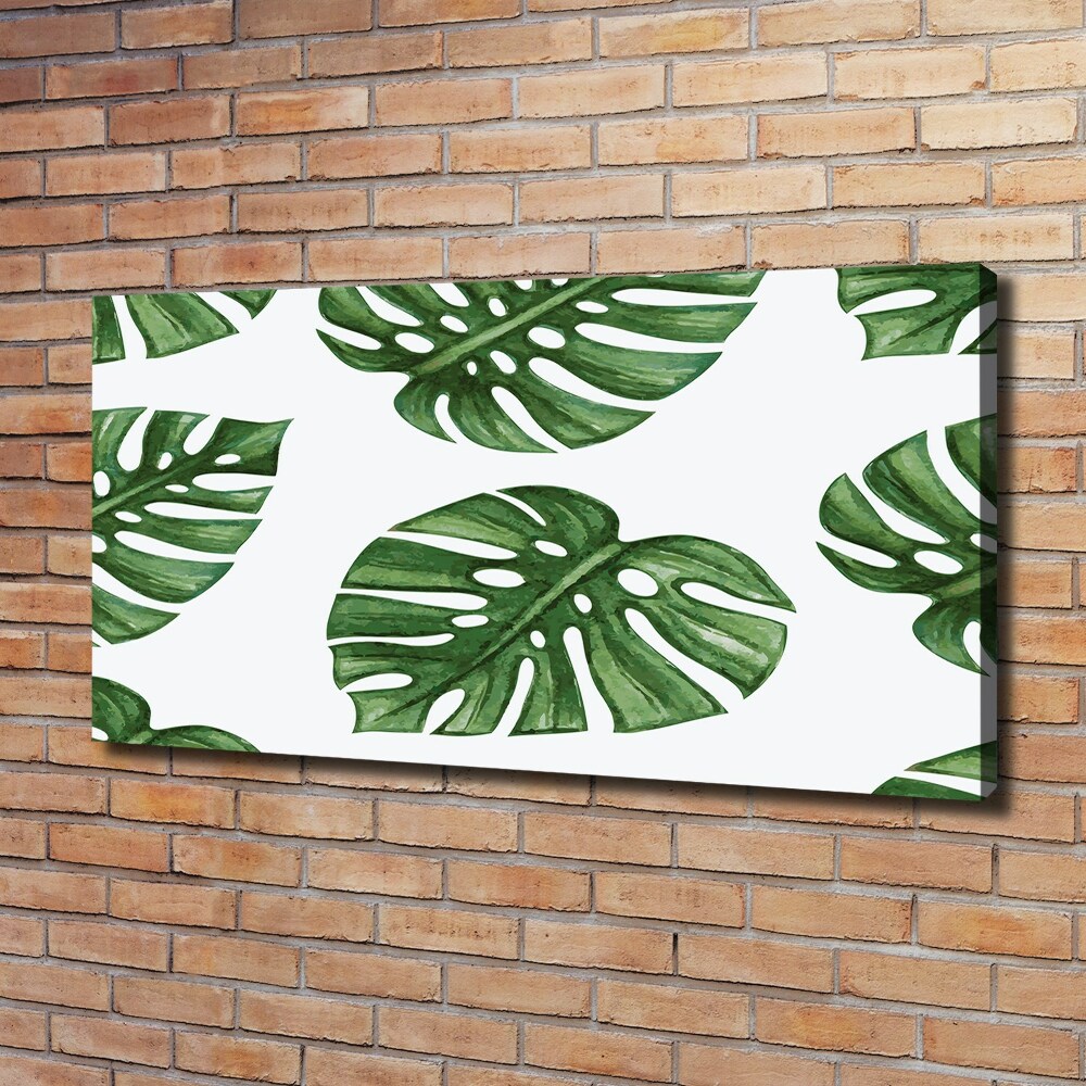 Foto obraz na plátně Monstera