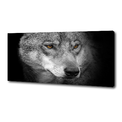 Foto obraz na plátně do obýváku Vlk