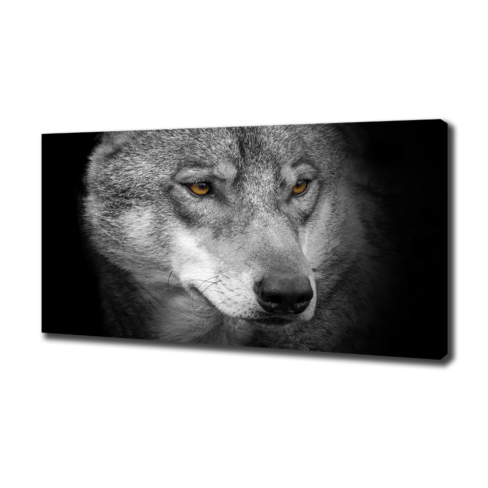 Foto obraz na plátně do obýváku Vlk