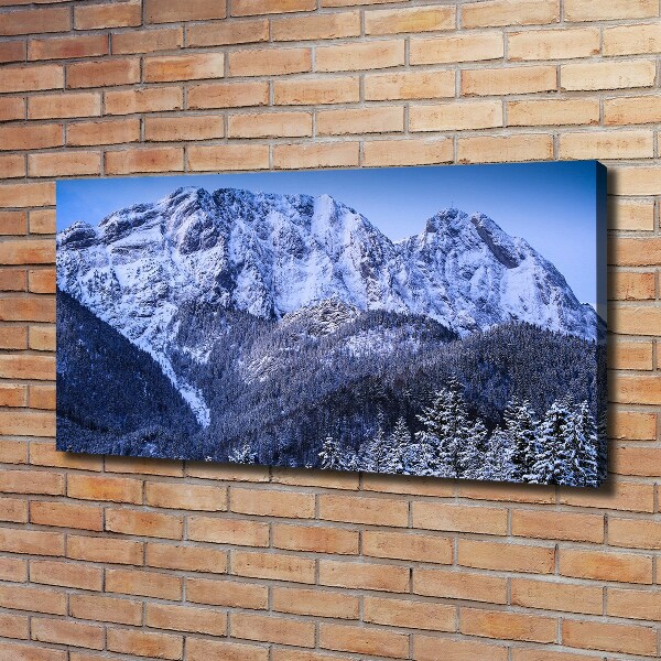 Foto obraz na plátně Gievont Tatry