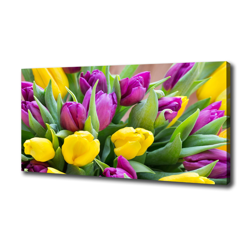 Foto obraz canvas Barevné tulipány