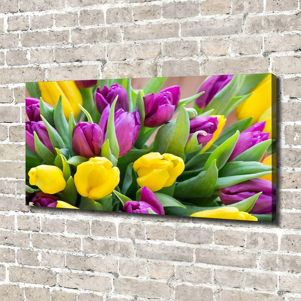 Foto obraz canvas Barevné tulipány