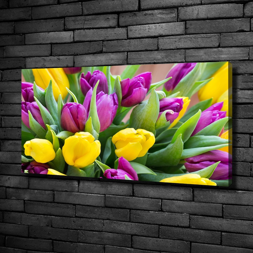 Foto obraz canvas Barevné tulipány