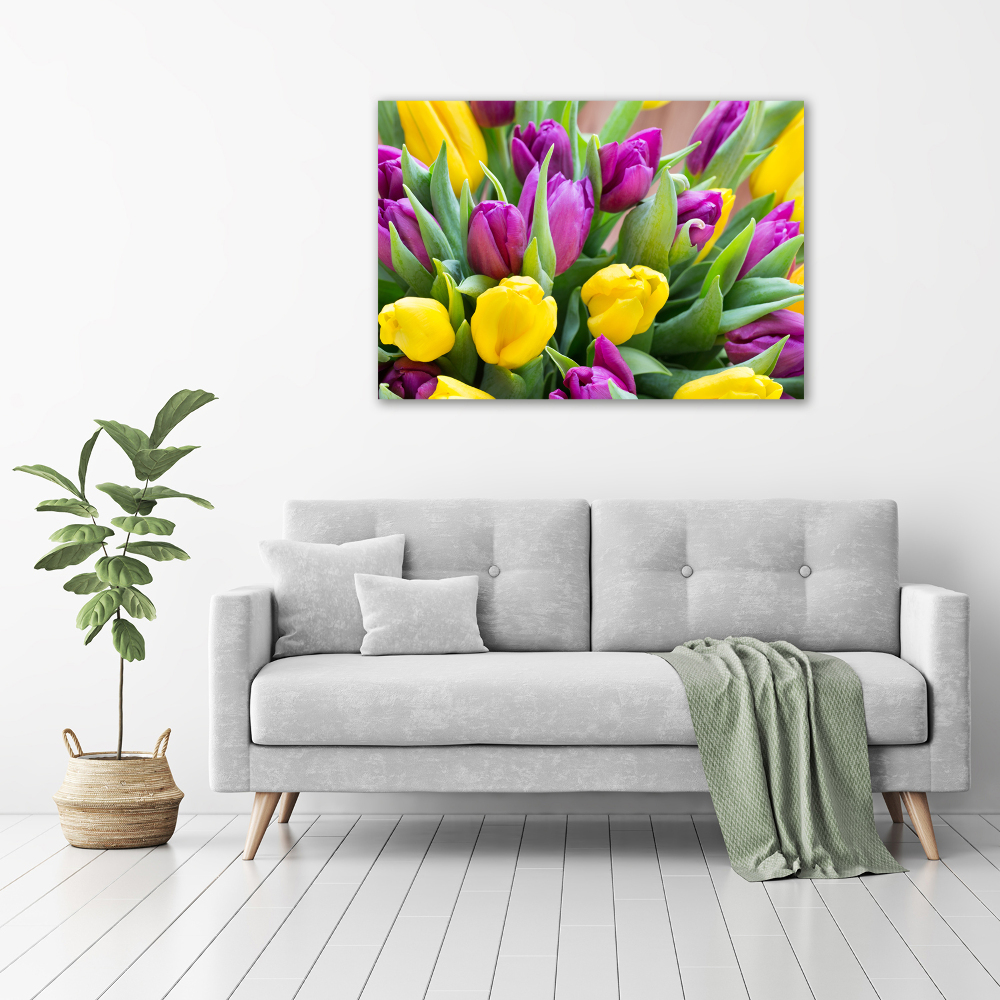 Foto obraz canvas Barevné tulipány