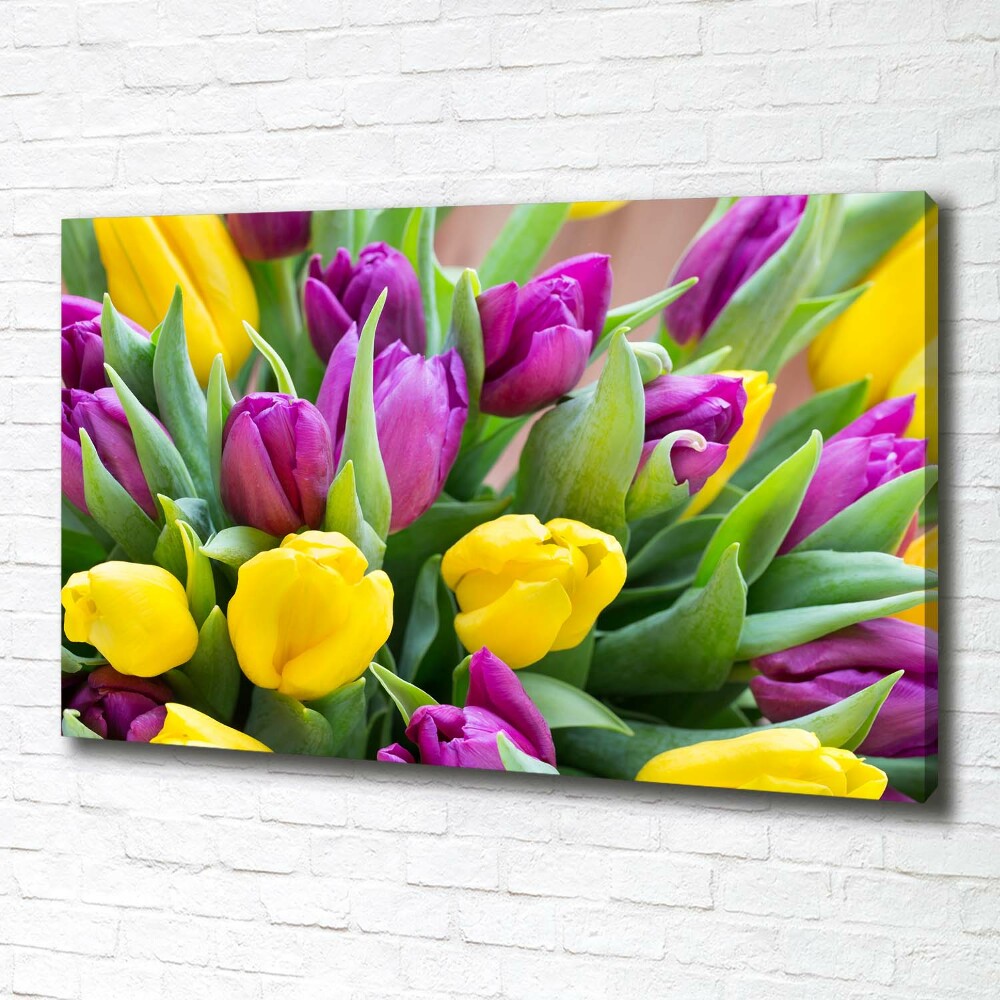 Foto obraz canvas Barevné tulipány