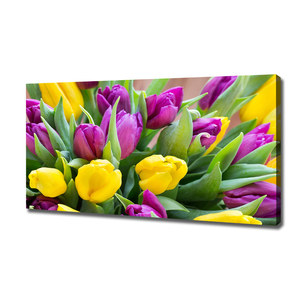 Foto obraz canvas Barevné tulipány