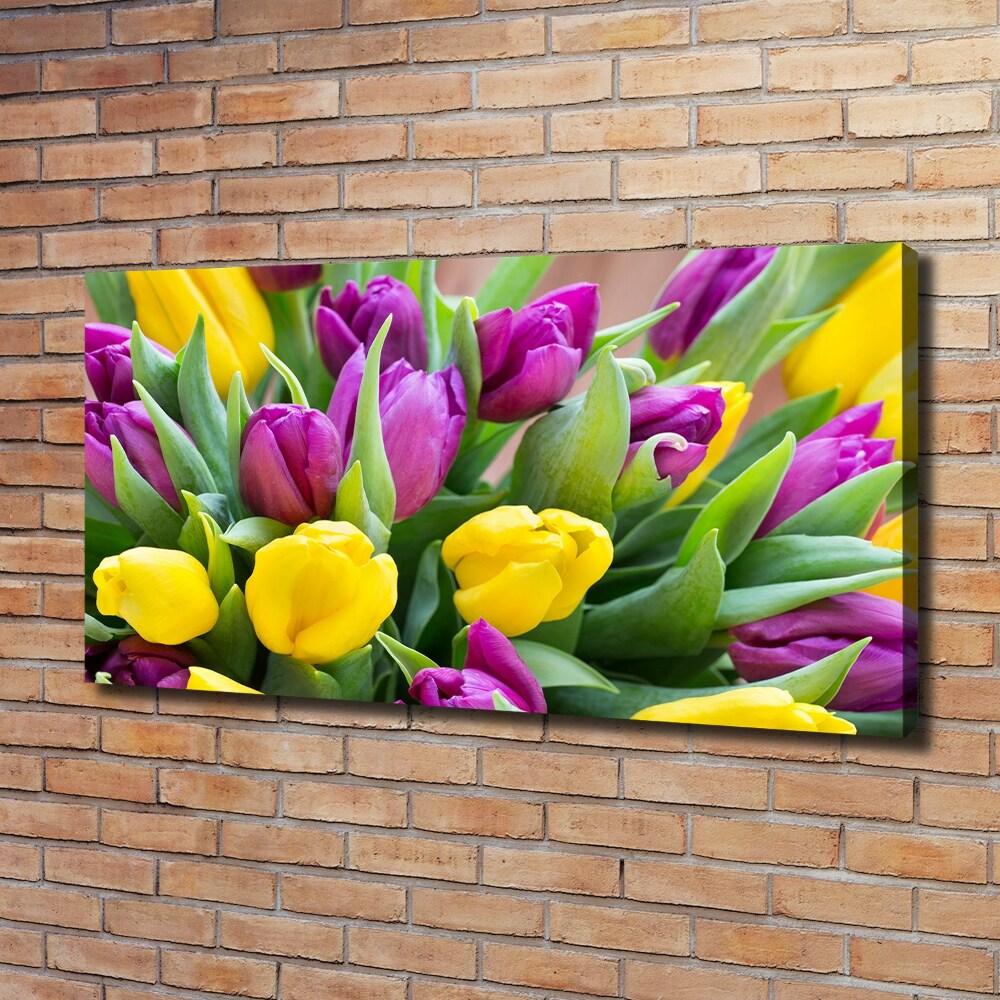 Foto obraz canvas Barevné tulipány