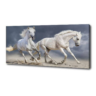 Foto obraz tištěný na plátně Bílí koně pláž