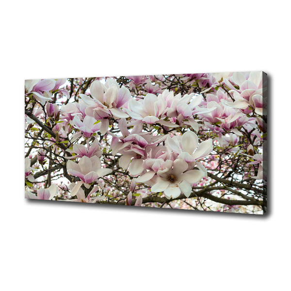 Foto-obraz canvas do obýváku Květiny magnolie