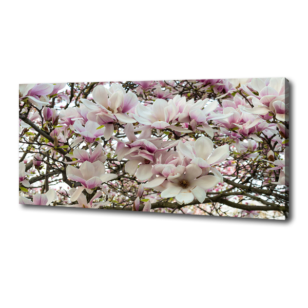 Foto-obraz canvas do obýváku Květiny magnolie