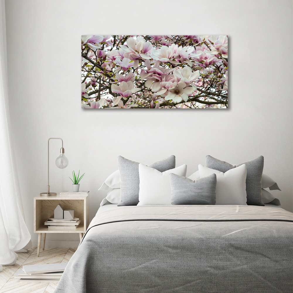 Foto-obraz canvas do obýváku Květiny magnolie