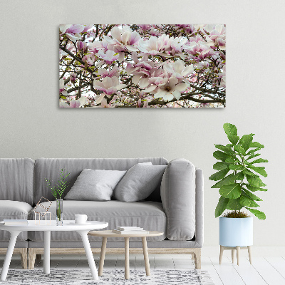 Foto-obraz canvas do obýváku Květiny magnolie