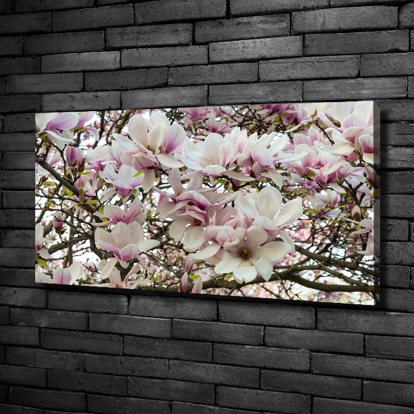 Foto-obraz canvas do obýváku Květiny magnolie