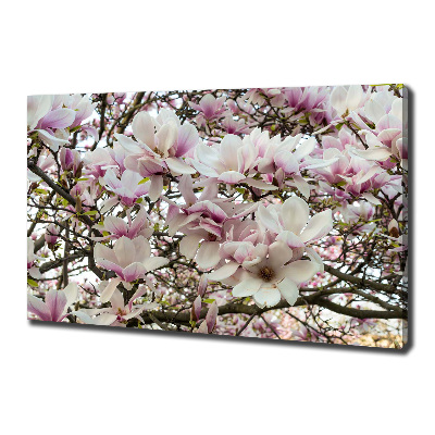 Foto-obraz canvas do obýváku Květiny magnolie