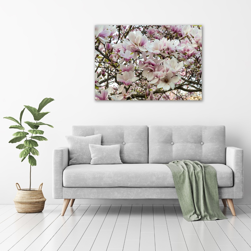 Foto-obraz canvas do obýváku Květiny magnolie