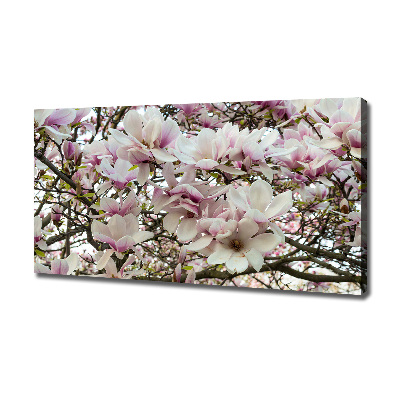 Foto-obraz canvas do obýváku Květiny magnolie