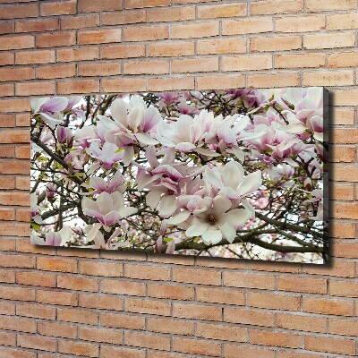 Foto-obraz canvas do obýváku Květiny magnolie