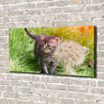 Foto obraz na plátně Kočka pampeliška