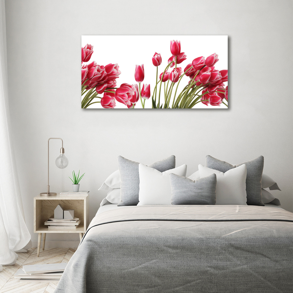 Foto obraz na plátně Červené tulipány