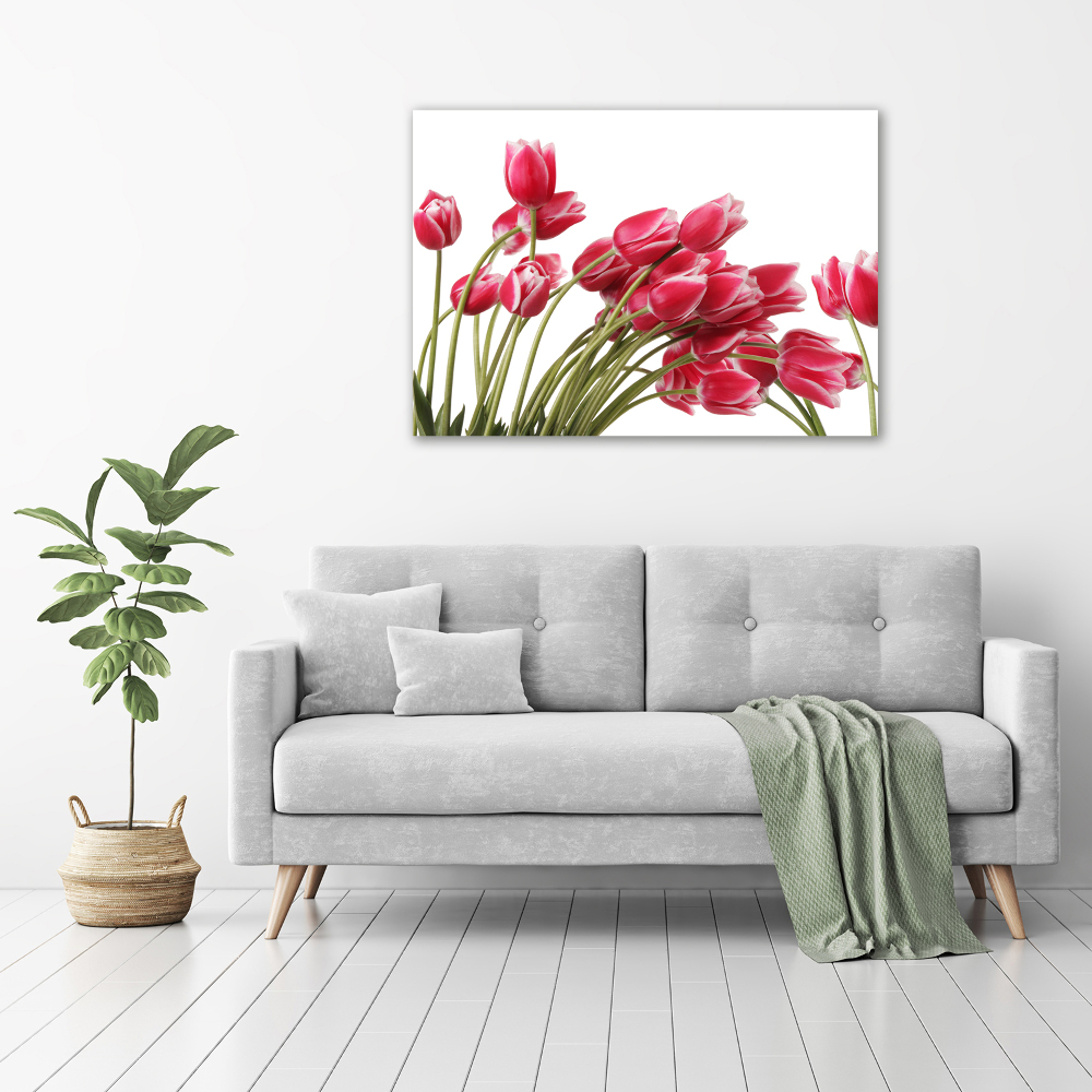 Foto obraz na plátně Červené tulipány