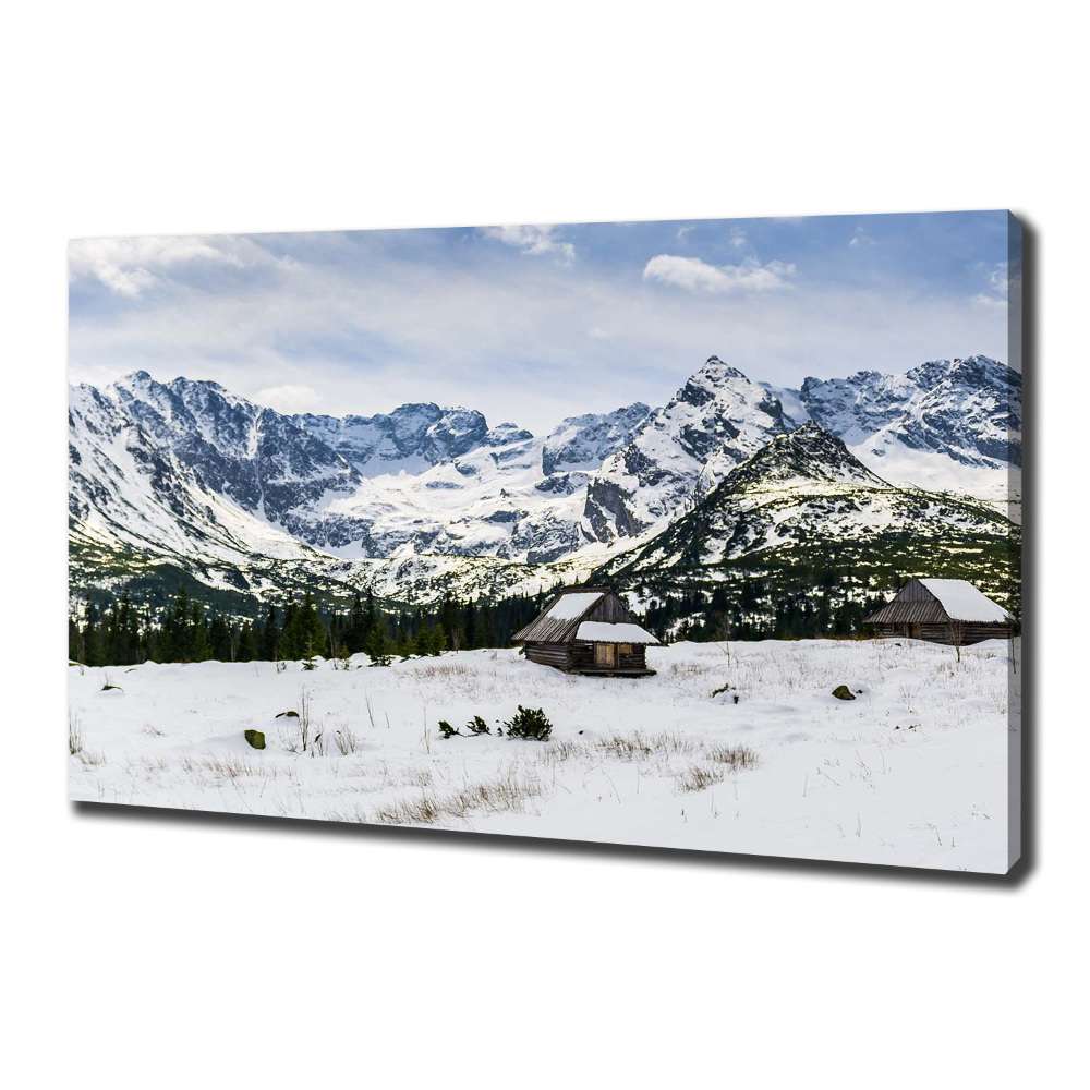 Foto obraz canvas Západní Tatry