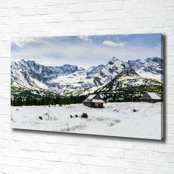 Foto obraz canvas Západní Tatry