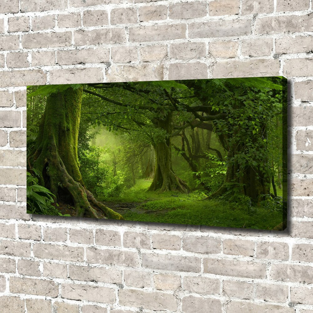 Foto obraz na plátně Tropická džungle