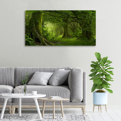 Foto obraz na plátně Tropická džungle