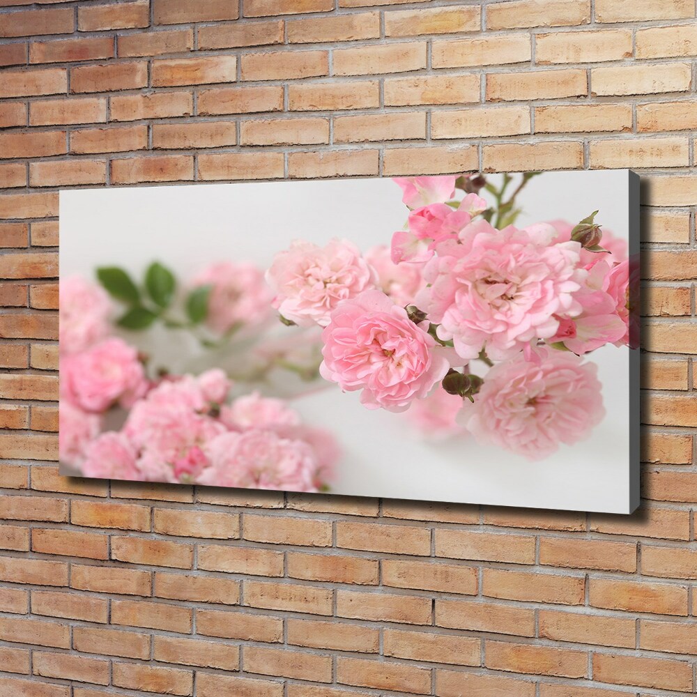 Moderní fotoobraz canvas na rámu Divoké růže