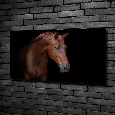 Foto obraz na plátně do obýváku Hnědý kůň
