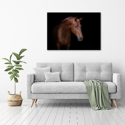 Foto obraz na plátně do obýváku Hnědý kůň