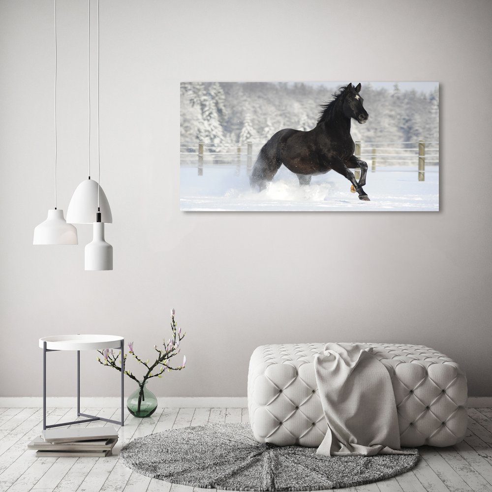 Foto obraz canvas Kůň ve cvalu sníh