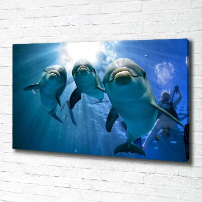 Foto obraz canvas Tři delfíni