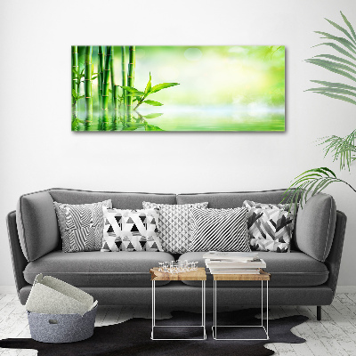 Foto obraz canvas Bambus