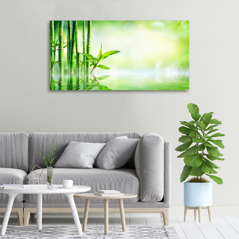Foto obraz canvas Bambus
