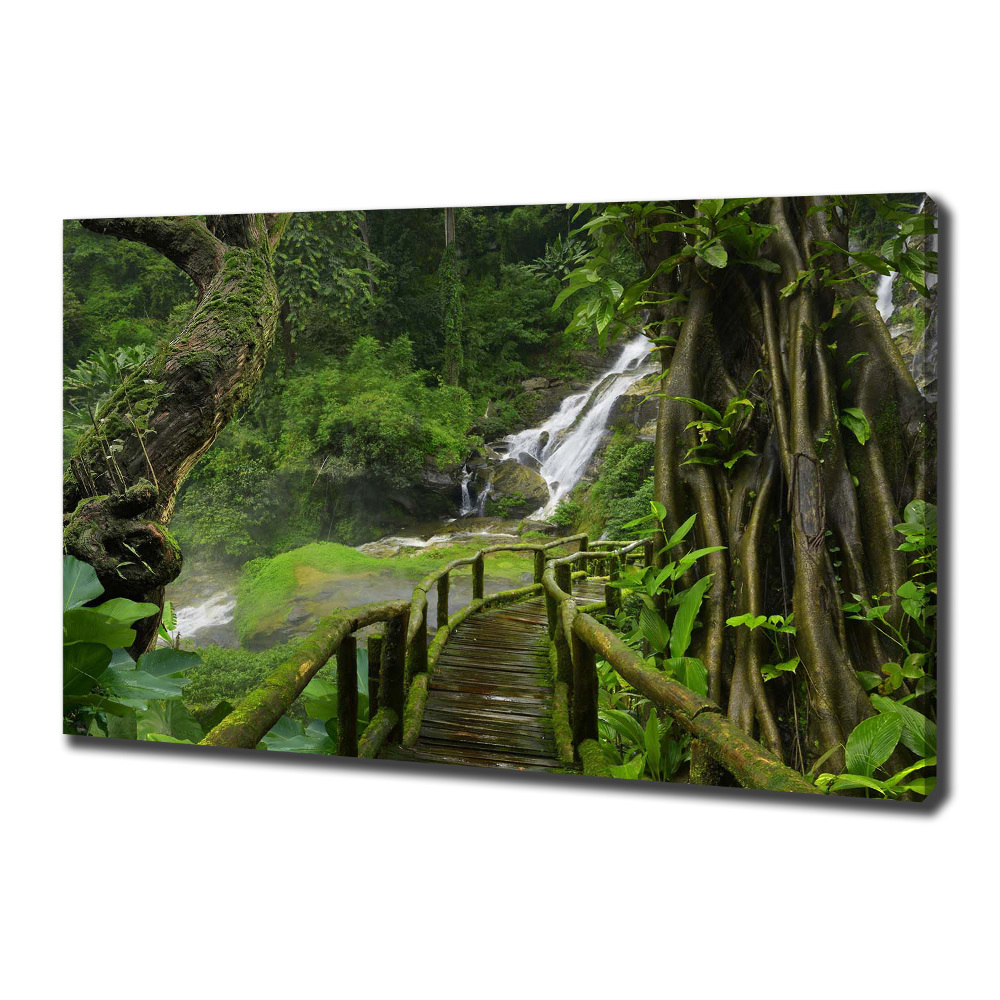 Foto obraz na plátně Vodopád v džungli