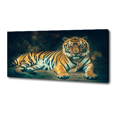 Foto obraz na plátně Tygr v jeskyni