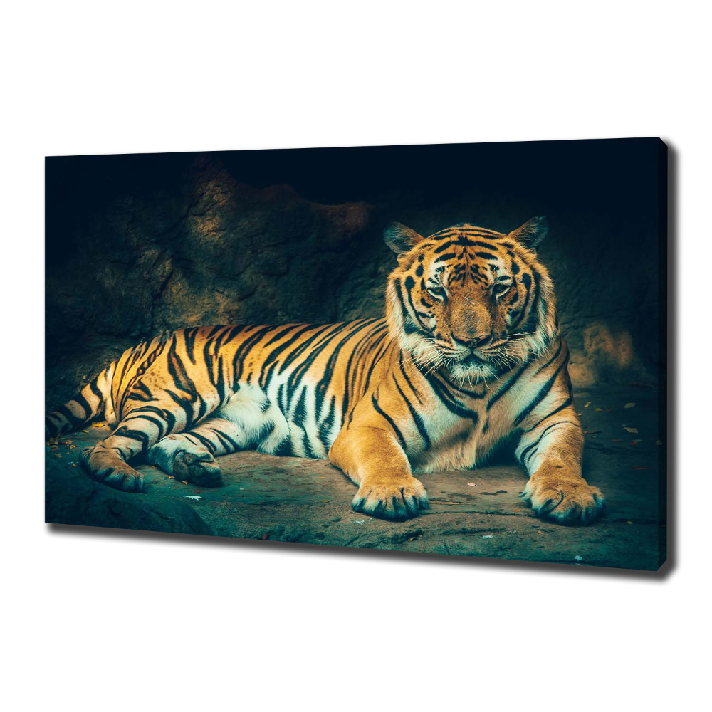 Foto obraz na plátně Tygr v jeskyni