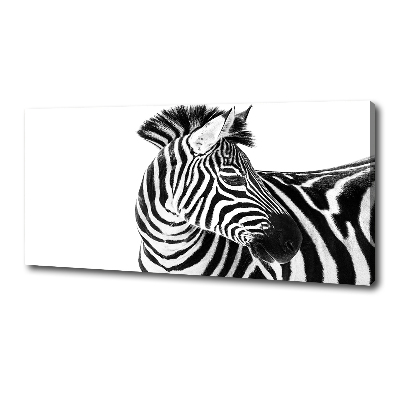 Foto obraz canvas Zebra ve sněhu