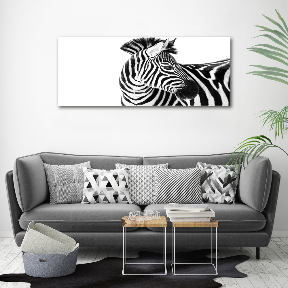 Foto obraz canvas Zebra ve sněhu