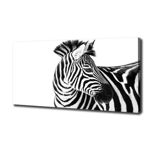 Foto obraz canvas Zebra ve sněhu