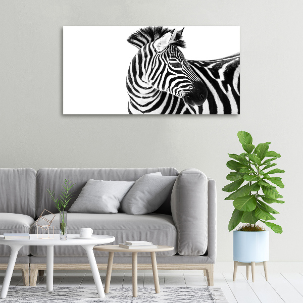 Foto obraz canvas Zebra ve sněhu