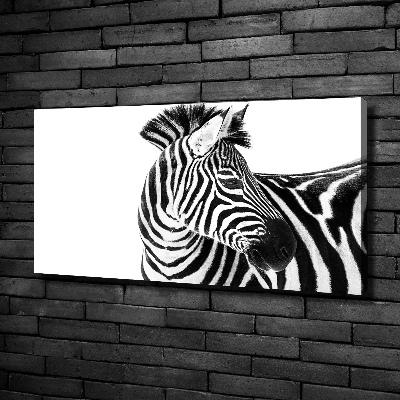 Foto obraz canvas Zebra ve sněhu